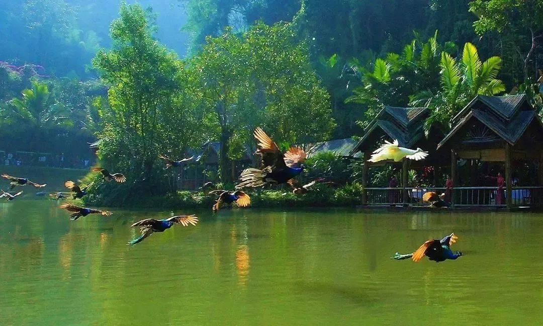 连线光球